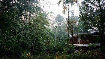 Falling Waters Munnar Luaran gambar
